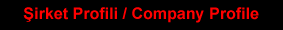 Company Profile
